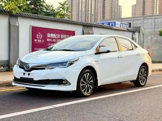 alphard corolla