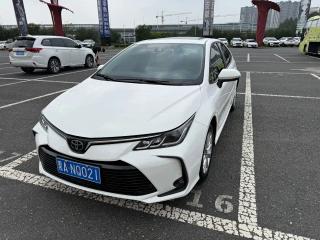 alphard corolla