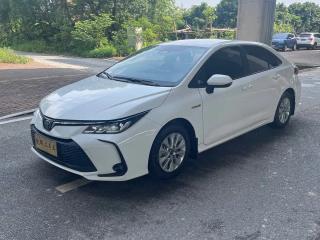 alphard corolla