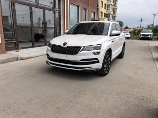 kemike kodiaq