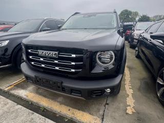 Haval bigdog