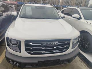 Haval bigdog