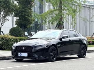 Jaguar xel