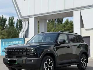 Jetour shanhai