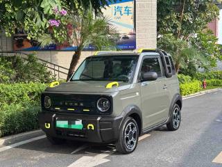 xingyuan panda