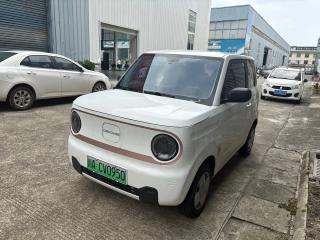 xingyuan pandamini