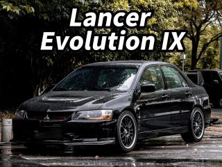 pajaro lancer