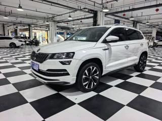 kemike kodiaq