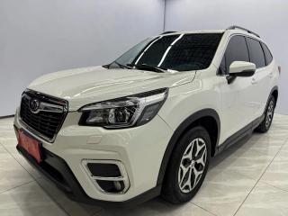 forester forester