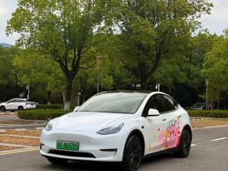 Tesla model-y