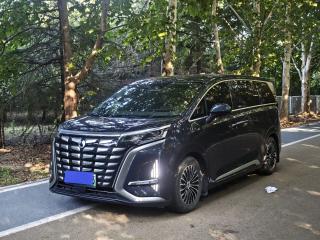 Denza d9