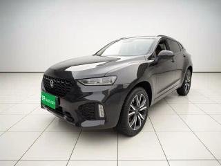 Wey vv7