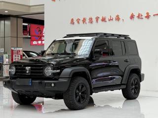 Tank 300