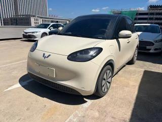 wuling bingguo