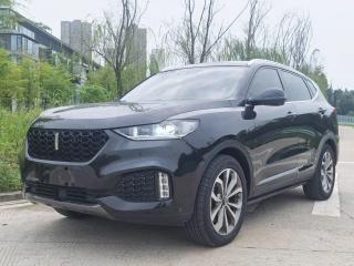 Wey vv6