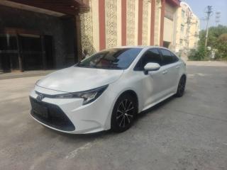 alphard leiling