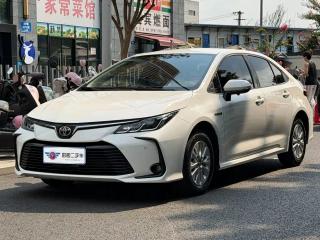 alphard corolla