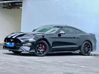 mondeo mustang