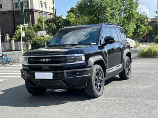 tiqi suv