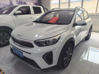yipao yippo