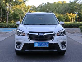 forester forester