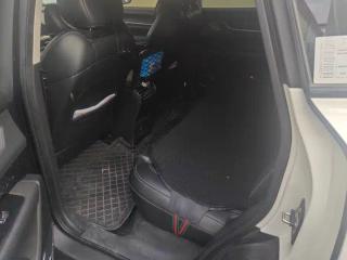 Chery ant