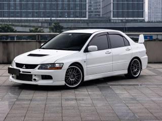 pajaro lancer