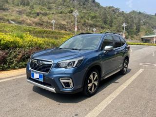 forester forester