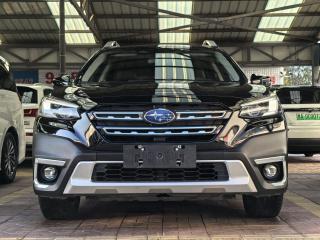 forester outback