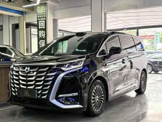 Denza d9