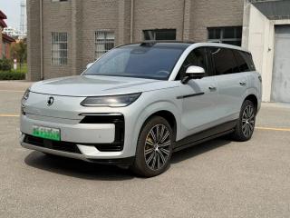 Denza n9