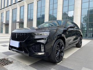 Wey vv7