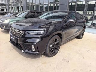Wey vv7