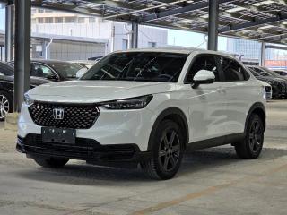 Binzhi Xr-v