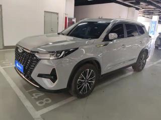 Arrizo 8