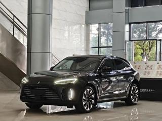 Wenjie M5