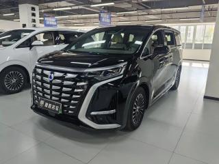 Denza D9