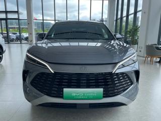 Byd L