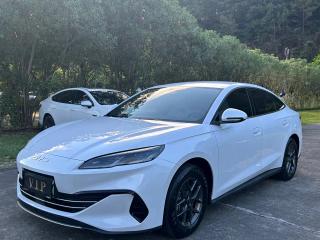 Byd 06