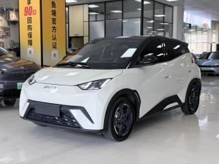 Byd Seagull