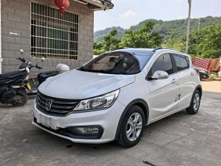 Baojun 310