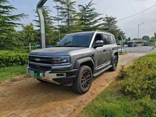 Leopard Suv