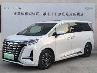 Denza D9
