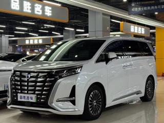 Denza D9