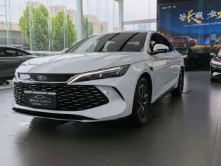 Byd L