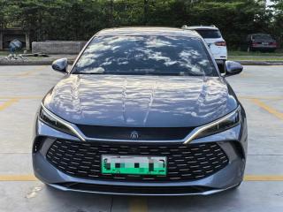 Byd L
