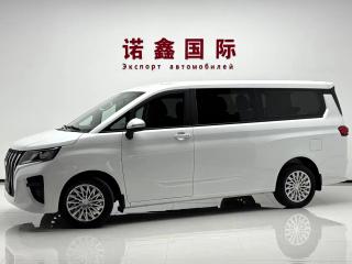 Auto Wangpai