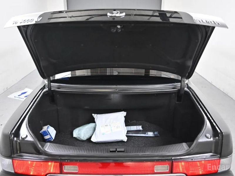 Hyundai Dynasty