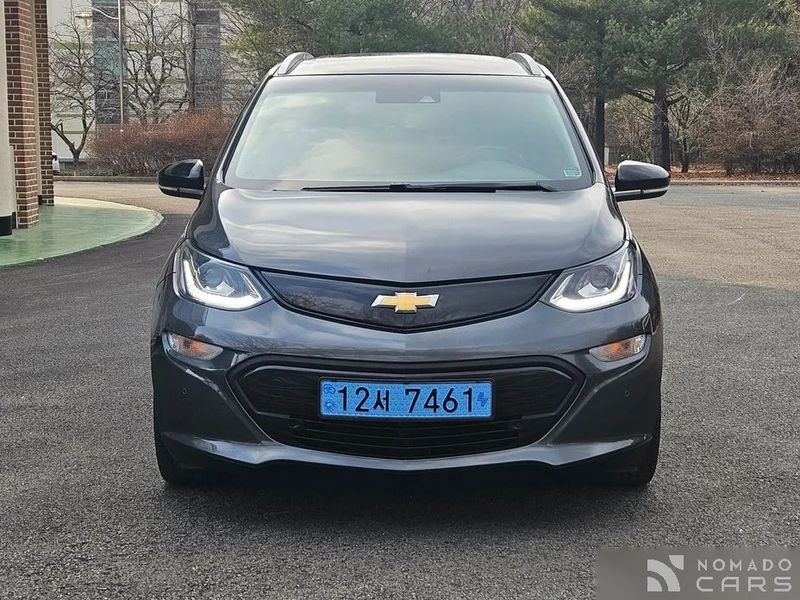 ChevroletGMDaewoo Bolt EV