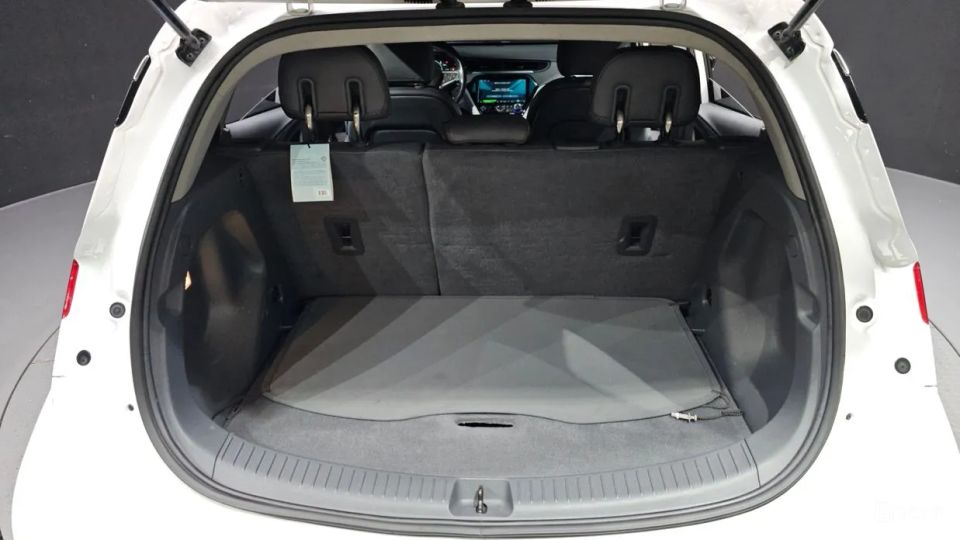 ChevroletGMDaewoo Bolt EV
